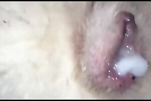 zoophilia,closeup zoophilia